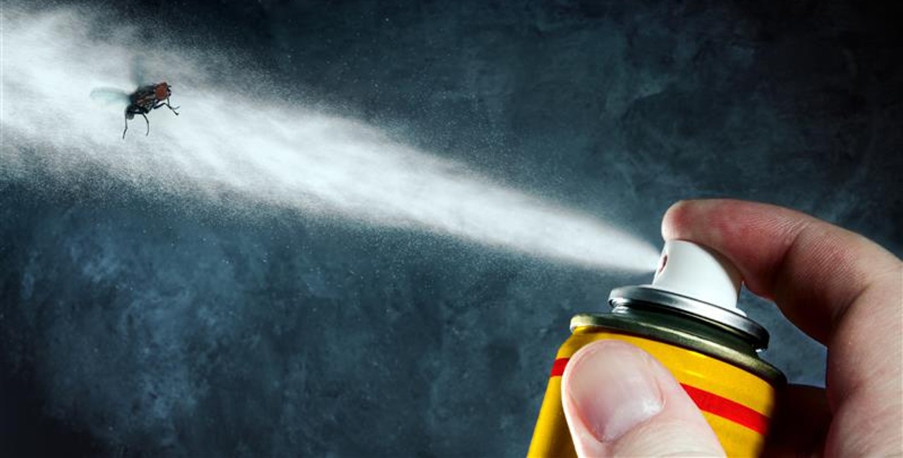Crédit photo https://www.shutterstock.com/g/DA1985